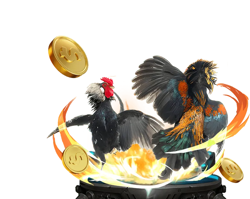 Các bước tham gia chương trình đối tác